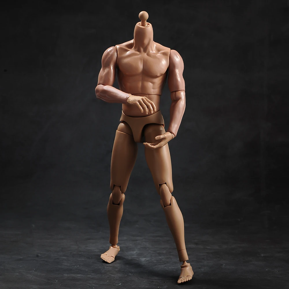 1/6 Vyrų kūno raumenų modelis su kaklo versija TQ230for 12 colių veiksmų skaičius, įstaiga, reikmenys 0