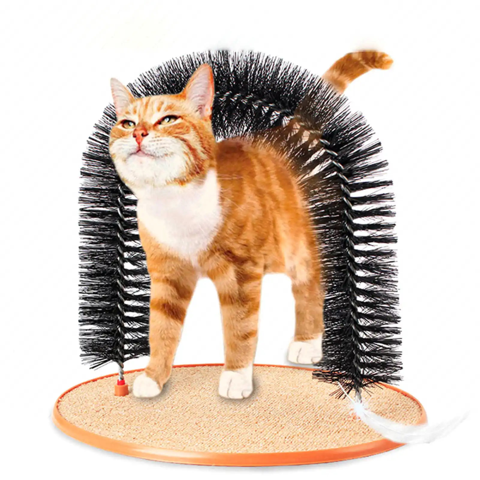 Katė nulio pet žaislas plaukų šalinimo teptuku kačių plaukų lanko pet masažas šepečiu braižymo pagalvė 0