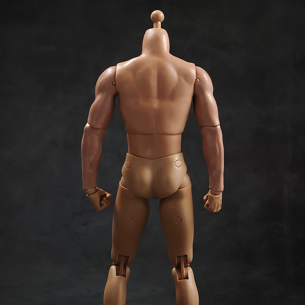 1/6 Vyrų kūno raumenų modelis su kaklo versija TQ230for 12 colių veiksmų skaičius, įstaiga, reikmenys 1
