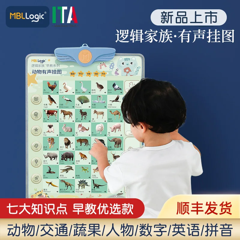 Vaikų Garso Diagramos Švietimo Logika Pinyin Diagramos Kūdikių Ankstyvojo Ugdymo Kai kurias Diagramas, Skaityti anglų Populiarus 2021 2