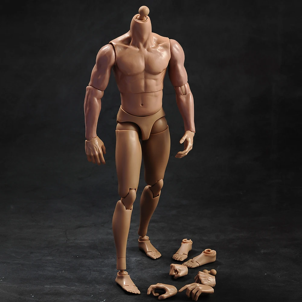 1/6 Vyrų kūno raumenų modelis su kaklo versija TQ230for 12 colių veiksmų skaičius, įstaiga, reikmenys 2