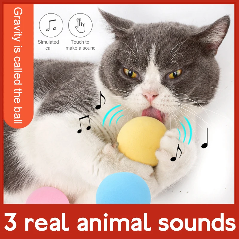 Katė Interaktyvūs Žaislai Naminių Reikmenys Smart Touch Skambėjo Vabzdžių Skambina Žaislai, Katžolių Žaislai Svorio Kamuolys Katėms Kitten Kitty 2
