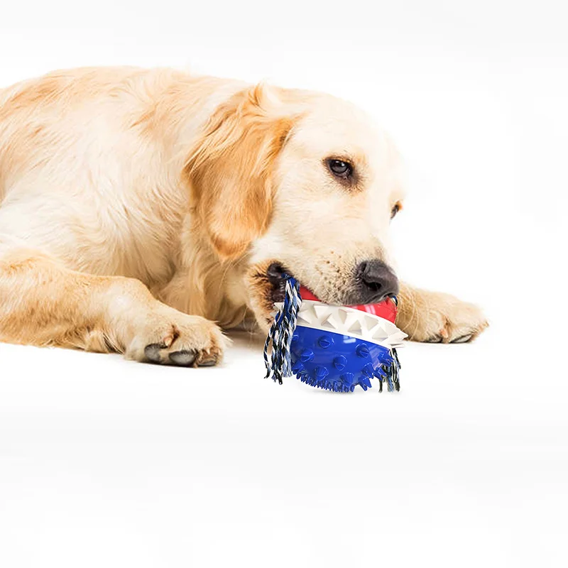 Pet Žaislas Gumos Ištekėjimo Kamuolys Šuo Finansuojančiojo Valyti Dantis, Kamuolys Šunį kramtyti žaislas šunims, aksesuarai Antistress dantų šepetėlį šunims 3