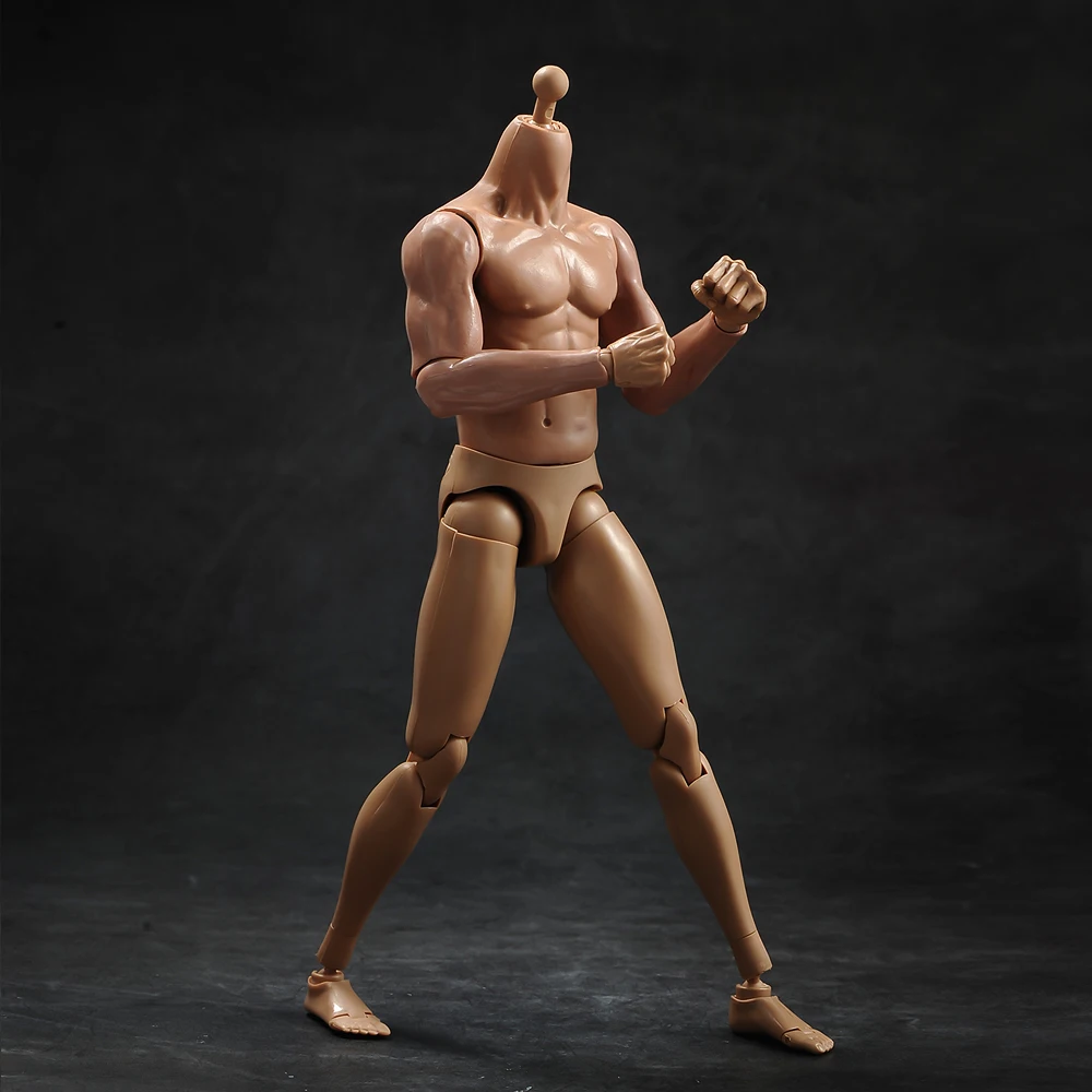1/6 Vyrų kūno raumenų modelis su kaklo versija TQ230for 12 colių veiksmų skaičius, įstaiga, reikmenys 3