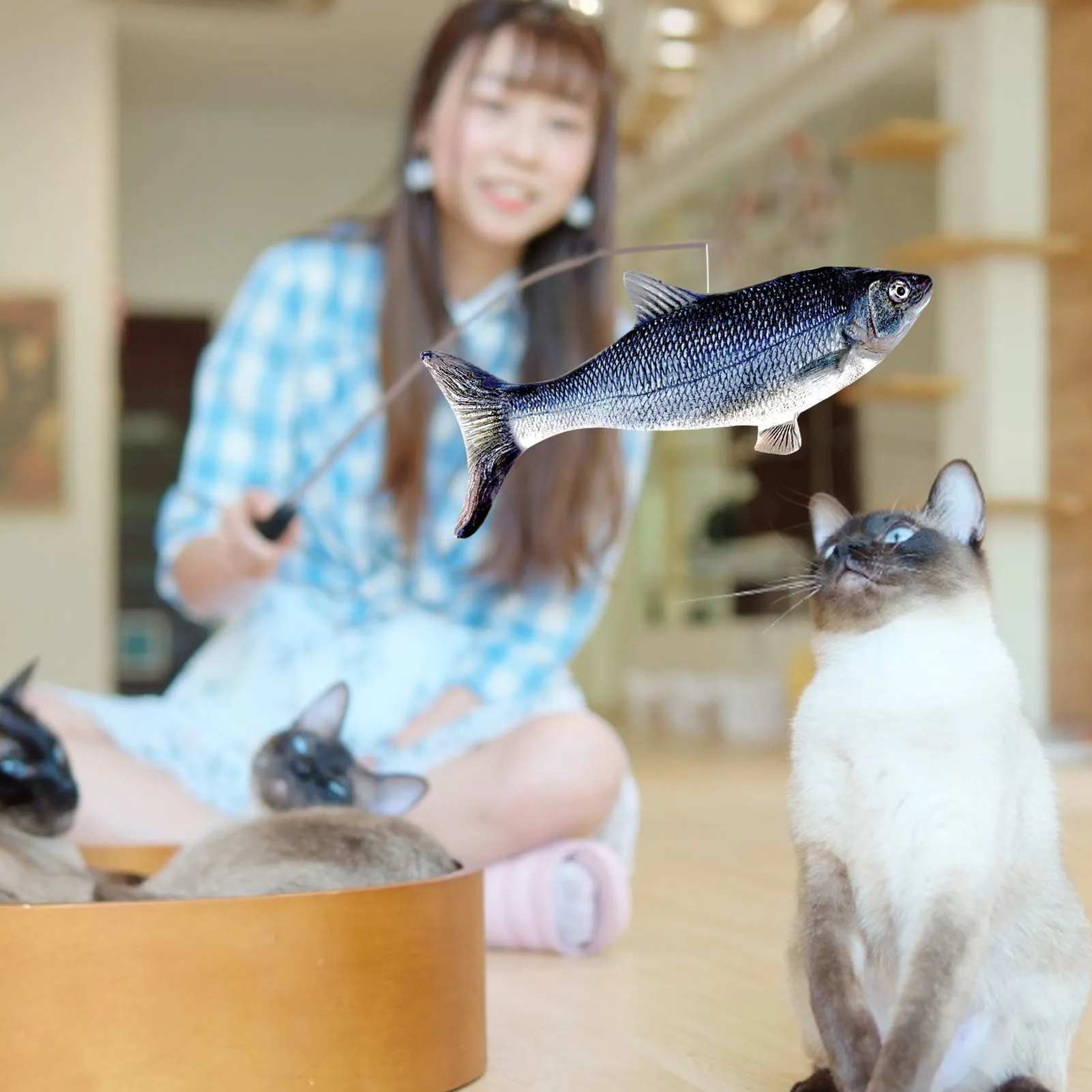 Elektros Žuvų Katė Žaislas Augintiniui 3D Modeliavimas Žuvų Minkštas Pliušinis Drebulys Žuvis, Įdaryti Žaislas Interaktyvus Šokių Žuvų Žaisti Minkštas Žaislas Katė 4