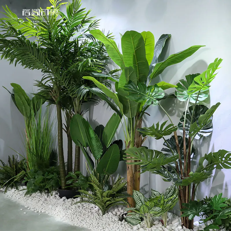 Modeliavimo žalieji augalai vazoninių kraštovaizdžio keliautojas bananų bonsai, restoranas, biuro langą kraštovaizdžio didelis vazoninių augalų 4