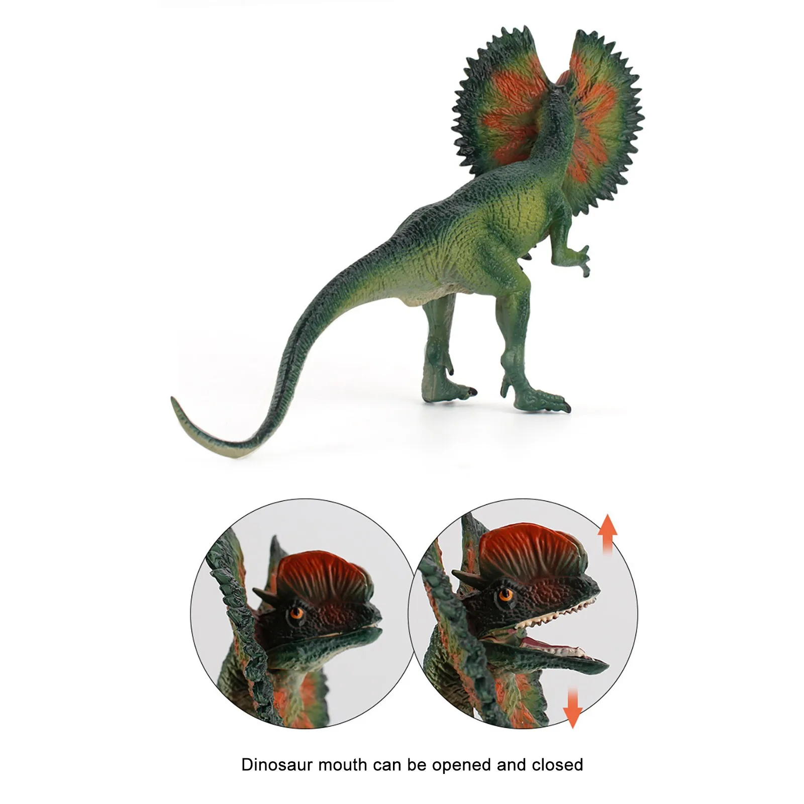 Realus Dinozaurų Modelis Tikroviška Dilophosaurus Dinozaurai Pav Playset Dovana Vaikams Modeliavimas Dinozaurai Gyvūnų Žaislas #2021 5