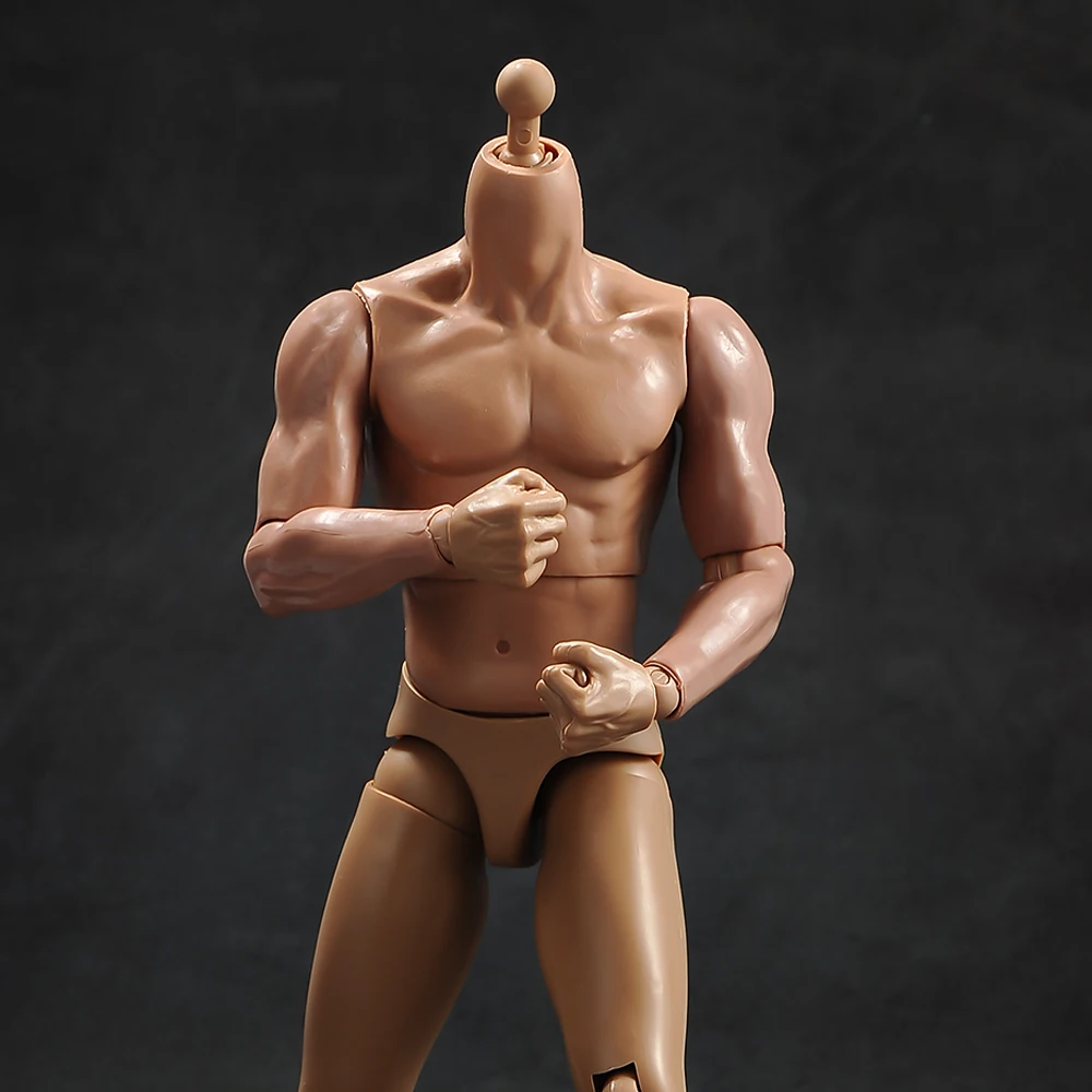 1/6 Vyrų kūno raumenų modelis su kaklo versija TQ230for 12 colių veiksmų skaičius, įstaiga, reikmenys 5